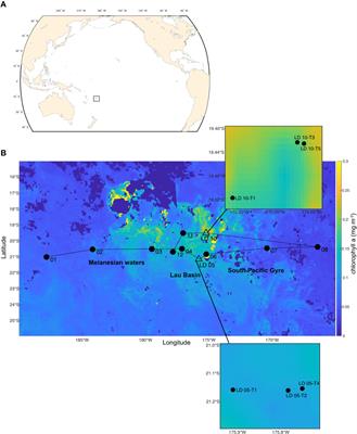 Plankton community structure in response to hydrothermal iron inputs along the Tonga-Kermadec arc